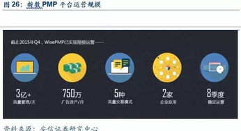 新數網絡 DSP技術領航者，構建全球數字服務生態
